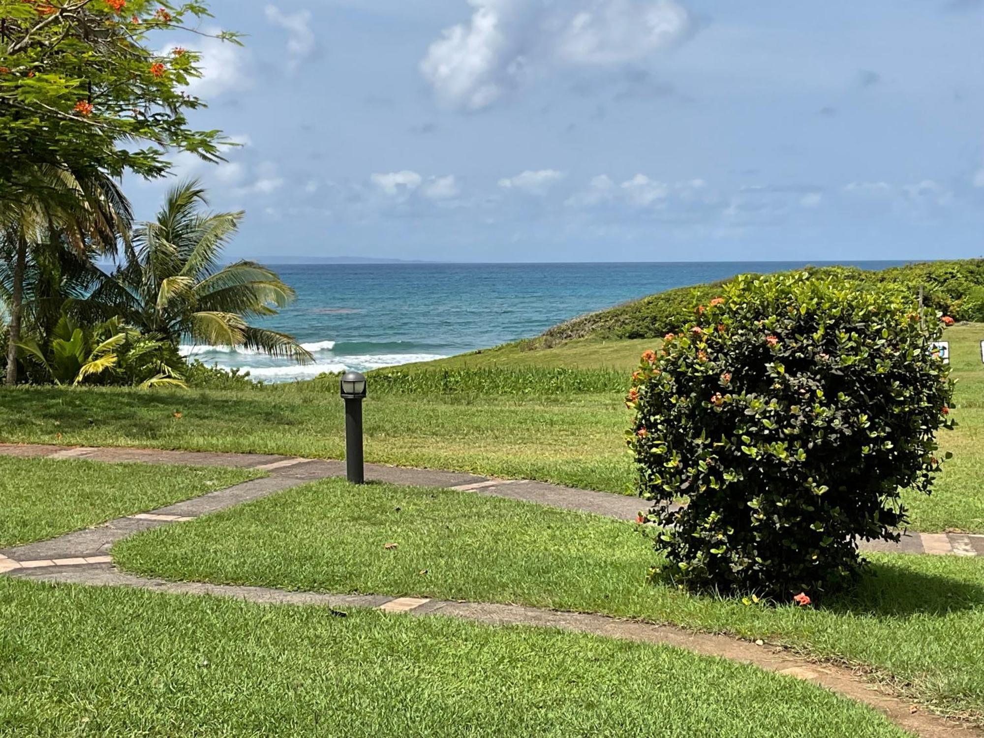 Martial Tropiques Et Martial Coco & Plage, 2 Appartements Refaits A Neuf Vue Mer, Village De Vacances A Ste Anne Sainte-Anne  Εξωτερικό φωτογραφία